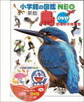 鳥　新版　DVDつき 恐竜の子孫たち　（小学館の図鑑NEO）
