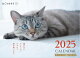 ��ͽ��ۤͤ��Τ������Ƚ��������2025
