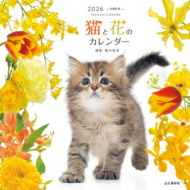 カレンダー2026 猫と花のカレンダー（月めくり/壁掛け/ねこ フラワー） （［カレンダー］）