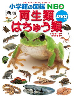楽天ブックス 小学館の図鑑neo 新版 両生類 はちゅう類 Dvdつき 松井 正文 本