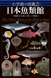 楽天ブックス: 日本産魚類検索第2版 - 全種の同定 - 中坊徹次 