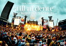 マカロニえんぴつ 10th Anniversary Live 『still al dente in YOKOHAMA STADIUM』