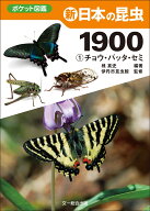 新　日本の昆虫1900（1）チョウ・バッタ・セミ （ポケット図鑑） [ 槐　真史 ]