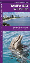 Tampa Bay Wildlife: A Folding Pocket Guide to Familiar Plants and Animals