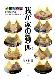 楽天市場 青木愛 グラビアの通販