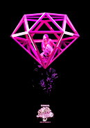 AREA OF DIAMOND 3(通常盤BD)【Blu-ray】