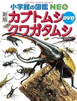 ��ɾȯ���桪�ο��ǡϥ��֥ȥॷ�����塞���ॷ DVD�Ĥ�
