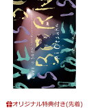 【楽天ブックス限定先着特典】LOVE IS BORN 〜21st Anniversary 2024〜(スマプラ対応)(シューレース)