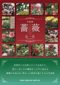 写真集　薔薇 [ 辻一代 ]