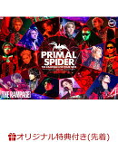 【楽天ブックス限定先着特典】THE RAMPAGE LIVE TOUR 2025 “PRIMAL SPIDER”(『コンパクトミラー ＜アリーナツアー…