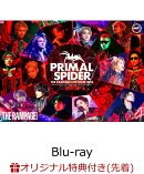 【楽天ブックス限定先着特典】THE RAMPAGE LIVE TOUR 2025 “PRIMAL SPIDER”【Blu-ray】(『コンパクトミラー ＜ア…