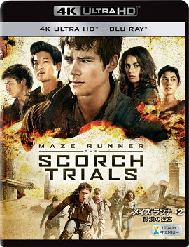 �ᥤ�������ʡ�2:�������µܡ�4K ULTRA HD��2D�֥롼�쥤��2���ȡ��4K ULTRA HD��