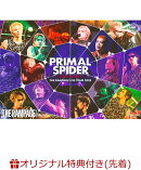 【楽天ブックス限定先着特典】THE RAMPAGE LIVE TOUR 2025 “PRIMAL SPIDER” 〜巡らせる糸〜(『コンパクトミラー …
