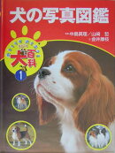 まるごと犬百科（1）