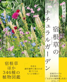 NHK趣味の園芸　おぎはら流　がんばらなくても幸せな庭　宿根草のナチュラルガーデン （生活実用シリーズ） [ 荻原 範雄 ]