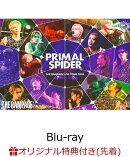 【楽天ブックス限定先着特典】THE RAMPAGE LIVE TOUR 2025 “PRIMAL SPIDER” 〜巡らせる糸〜【Blu-ray】(『コンパ…