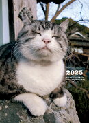 2025 岩合光昭 ねこ手帳