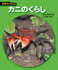 楽天市場 カニ 図鑑 ちしき 絵本 児童書 図鑑 本 雑誌 コミックの通販