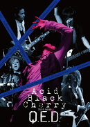 Acid Black Cherry 2009 tour “Q.E.D.”