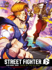 楽天ブックス: Street Fighter Swimsuit Special Collection Volume 2 