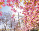 カレンダー2027 こころ癒される世界のときめく絶景（月めくり/壁掛け/風景 海外）