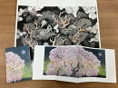 「生誕100年記念　小泉淳作展」公式図録