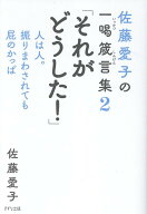 佐藤愛子の一喝箴言集2　それがどうした！ 人は人。振りまわされても屁のかっぱ [ 佐藤愛子 ]