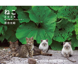 2026 岩合光昭 ねこ 卓上週めくりカレンダー [ 岩合 光昭 ]