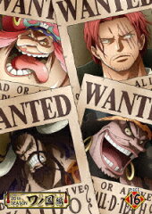 ONE PIECE ワンピース 20THシーズン ワノ国編 PIECE.16