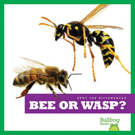 Bee or Wasp? BEE OR WASP （Spot the Differences） [ Adeline J. Zimmerman ]