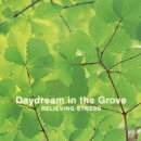 ストレス解消〜木漏れ日の中で