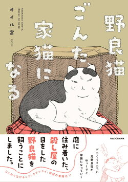 野良猫ごんた、家猫になる