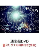【楽天ブックス限定先着特典】DISH// ARENA TOUR 2024-2025「群青飛行」(通常盤)(オリジナルクリアポーチ)