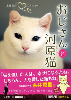 楽天ブックス やさしいねこ 太田 康介 本
