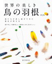 世界の美しき鳥の羽根 第2版 鳥たちが成し遂げてきた進化が見える [ 藤井 幹 ]