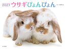 カレンダー2027 ウサギぴょんぴょん（月めくり/壁掛け/動物）