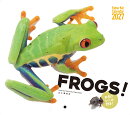 カレンダー2027 FROGS！（月めくり/壁掛け/シール付き/カエル 蛙）