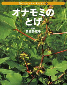 楽天市場 オナモミの通販
