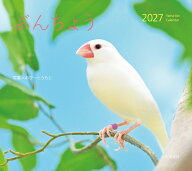 カレンダー2027 ぶんちょう（月めくり/壁掛け/鳥 文鳥） （Yama-Kei　Calendar 2027） [ おぴ～とうもと ]