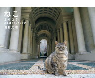 2027 岩合光昭 ねこ 卓上週めくりカレンダー [ 岩合 光昭 ]