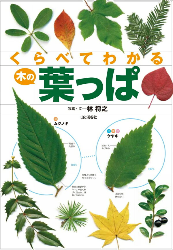 楽天ブックス: くらべてわかる木の葉っぱ - 林将之 - 9784635063531 : 本