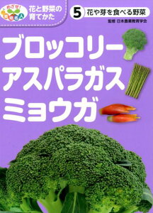 アスパラガス 花 絵本 児童書 図鑑の人気商品 通販 価格比較 価格 Com