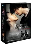 DVD＞愛するなら彼らのようにperfect　box
