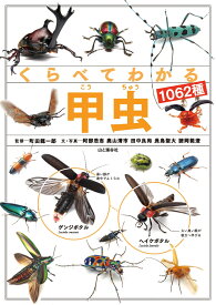 くらべてわかる甲虫1062種 （くらべてわかる図鑑）