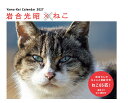 カレンダー2027 岩合光昭×ねこ（週めくり/卓上・リング/猫 風景） （Yama-Kei　Calendar 2027） [ 岩合 光昭 ]