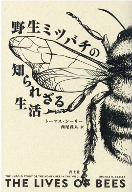 楽天ブックス アンフォ Vol 1 フランス語でニュースを読む 井上 美穂 本