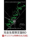 【楽天ブックス限定先着特典】Stray Kids 2nd World Tour “MANIAC”　ENCORE in JAPAN(完全生産限定盤Blu-ray)【Bl…