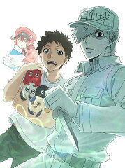 はたらく細胞!! 3【通常版】