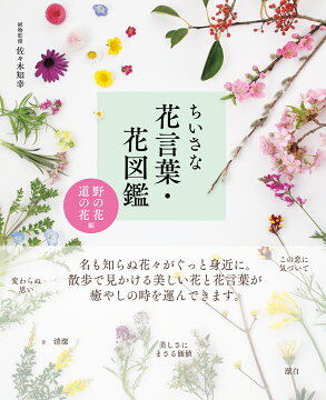 楽天ブックス ちいさな花言葉 花図鑑 野の花 道の花編 佐々木 知幸 本 楽天ブックス ちいさな花言葉 花図鑑 野の花 道の花編 佐々木 知幸 本
