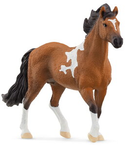 yVCqz@}KKE}Jh[iIXj@HORSE CLUB^z[XNu@13978